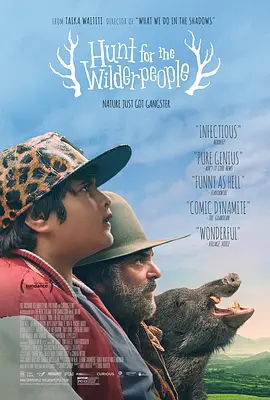 DVD高清完整版