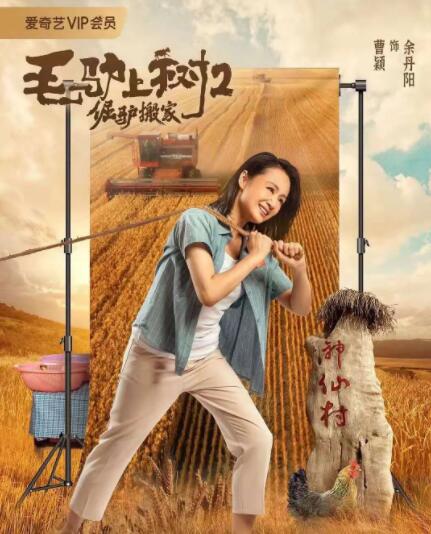 HD免费在线播放