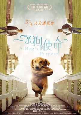 超清无删减在线播放