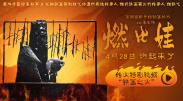 最近国语在线观看