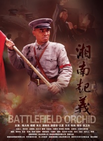 1080HD手机在线观看