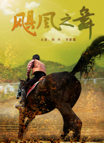DVD高清完整版