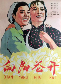 1080HD手机在线观看